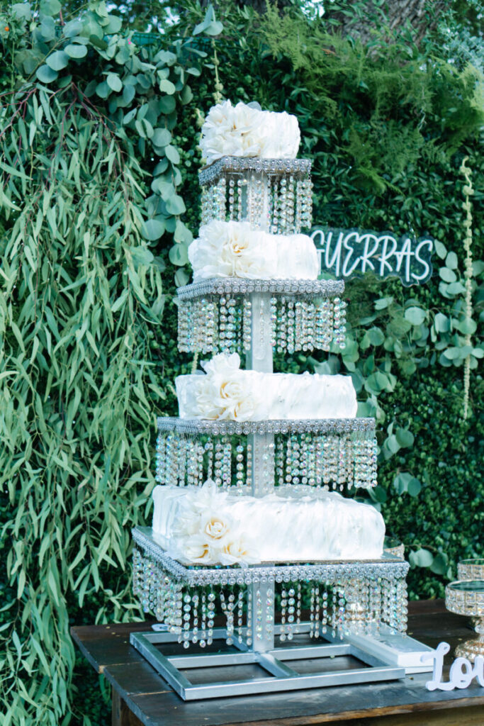 The Wedding of Iliana Carolina Cantu & David Alejandro Guerra 5 SEI2531